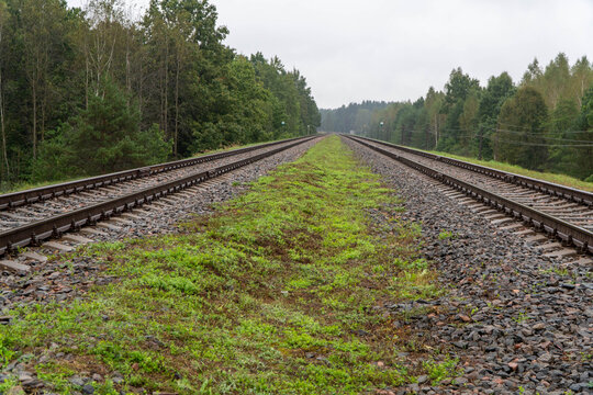 Symmetrical low angle view of parallel railroad tracks stretching into distance through lush green woodland under overcast sky with gravel ballast and grassy embankment.