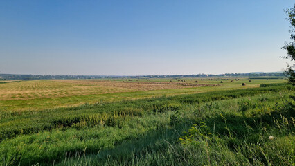 Fototapeta premium Golden straw bales scattered across a mowed field against a backdrop of village houses and a clear sky. Traditional agricultural harvest scene. Rural landscape with hay bales on a field