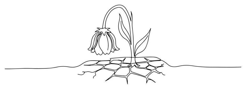Wilted flower in cracked dry soil continuous line art, global warming and drought concept vector illustration, dying plant on parched earth
