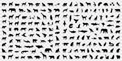 Animal silhouette collection. Set of black animal silhouette. Animal icons. Mammal, fish, insects, birds, reptiles silhouette collection. Wild, domestic animals icons, Large collection of wild animal  © Line pro