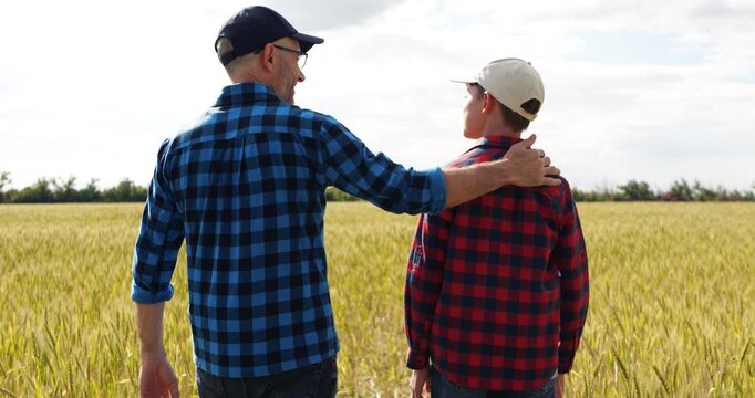 Father and son stand together in golden wheat field while experienced farmer places supportive hand on child's shoulder. Family farming. Agricultural heritage, mentoring, and future of fariculture.