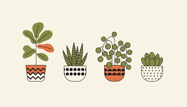 Four potted houseplants in decorative geometric pots including a fiddle leaf fig, a snake plant, and a string of pearls.