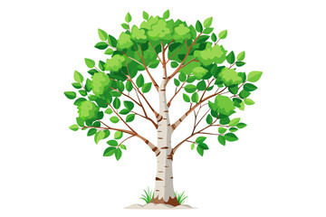 Fototapeta premium A vibrant green tree with lush leaves and a sturdy trunk stands tall in a simple yet striking vector illustration design on a clean white background
