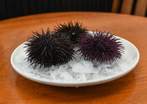 Fresh Sea Urchins Served on Ice in Restaurant