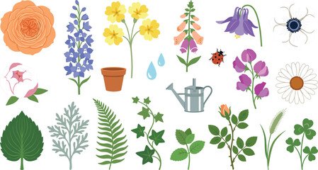 Botanical Garden Flower and Leaf Vector Illustration Set Featuring Rose Daisy Lavender Foxglove Fern Watering Can and Ladybug Gardening Design Elements © MstMahomuda
