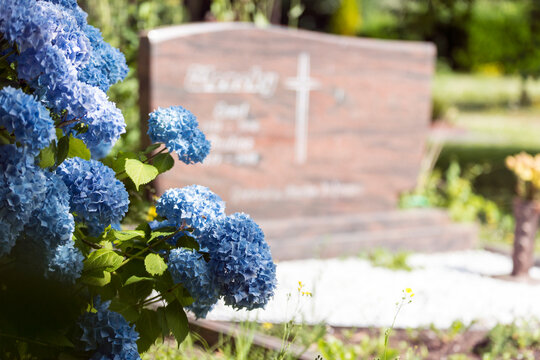 Detailaufnahme auf einem Friedhof