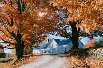 Naklejka premium The White Farmhouse Under Autumn Orange Leaves Along a Gravel Driveway