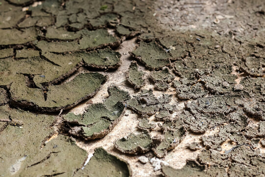 A close-up shot of dry, cracked mud surface showing detailed texture and patterns caused by drought.