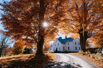 Naklejka premium The House in Autumn Sunlight on a Winding Country Lane