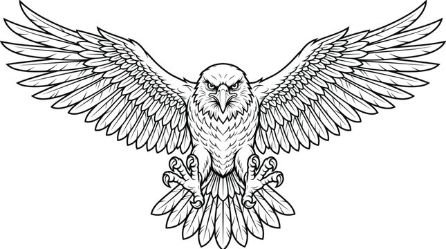 Flying eagle silhouette with wings spread, powerful bald eagle attacking with talons, majestic bird mascot emblem line art illustration