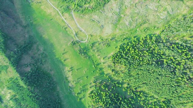 Aerial top down view of mixed evergreen forest and grassy meadow with shifting sunlight, long shadows, narrow dirt path, pale curved road, and diagonal landscape contrast