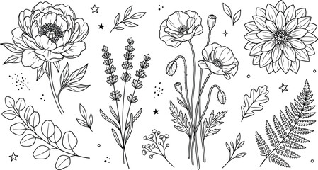 Botanical flower vector set featuring peony lavender poppy dahlia fern and eucalyptus leaves in vintage sketch illustration © MDAll