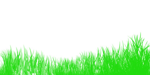 Obraz premium Green Grass Border PNG, Fresh Lawn Edge, Natural Meadow Grass Overlay Transparent Background
