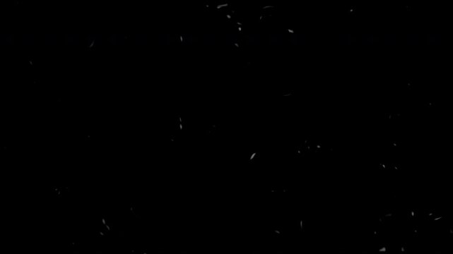 Old film tape defects with vintage grain and dust scratches