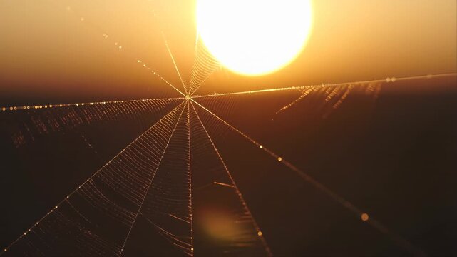 Droplet Macro View of Dew on Lens, Warm Backlight, Creating Radial Bokeh and Golden Light Streaks in Abstract Pattern