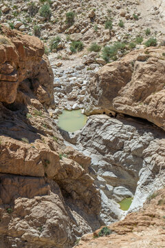 Looking down on two small pools of water near Nahal Rahaf-Rahaf Stream in the Judean Desert in Israel.
