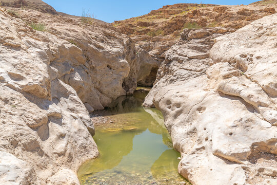 A pool of water near Nahal Rahaf-Rahaf Stream in the Judean Desert in Israel.
