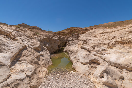 A pool of water near Nahal Rahaf-Rahaf Stream in the Judean Desert in Israel.
