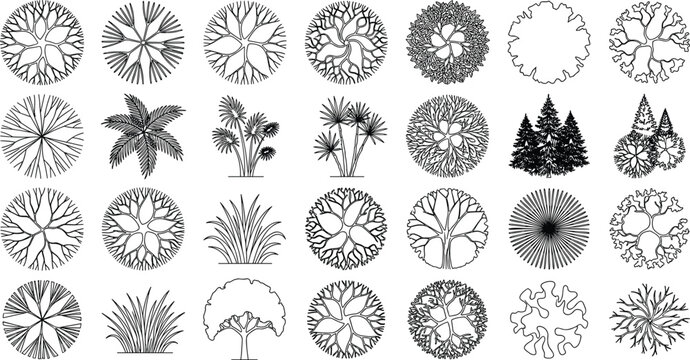 Architectural Trees Top View Plan Vector Symbols Set For Landscape Design And Site Mapping
