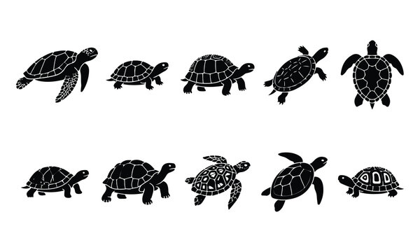 Black silhouette turtle illustrations