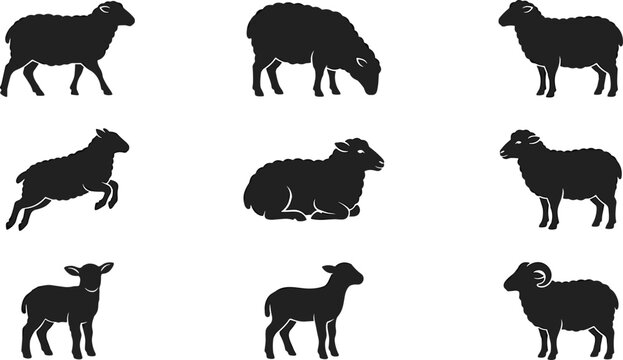 Sheep and lamb silhouette collection showing various poses including grazing, jumping, resting, standing, and ram with horns