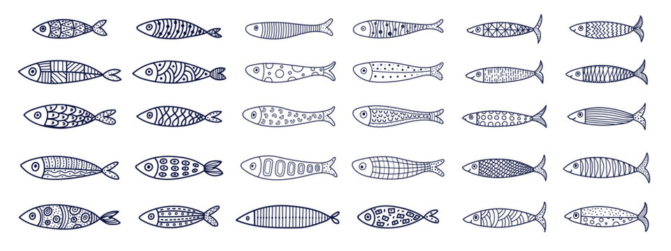 Fish. Sardine. Set. Cute illustration. Cip art.