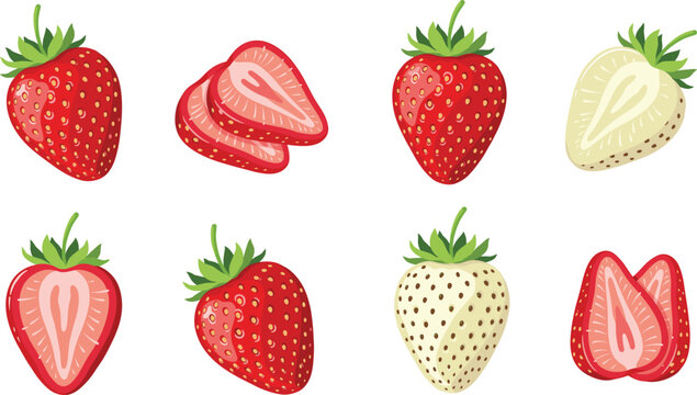Fresh Red and White Strawberry Fruit Vector Set with Whole and Half Slices for Healthy Food Nutrition and Grocery Product Packaging Graphic Designs