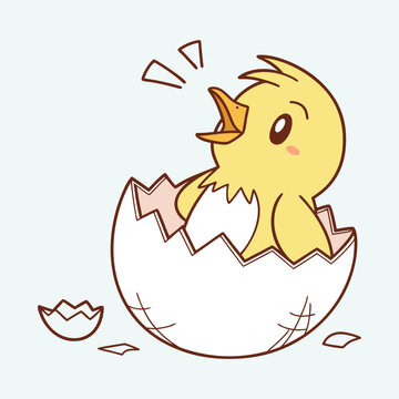 Cute baby chick hatching from egg vector illustration for easter design and kids project.