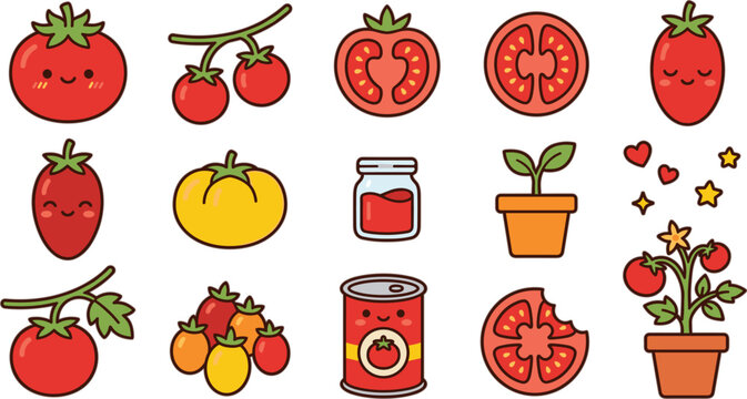 Tomato vector icon set featuring cute cartoon red vegetable characters slice ketchup can paste plant pot sticker designs.