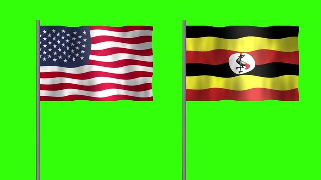 Flag of Uganda and USA, Pole flag of Uganda and USA on Green screen chroma key, Uganda and USA flag waving.
