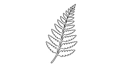 A stylized fern leaf rendered in precise black and white line art, perfect for wellness labels, sustainable product identities, or organic lifestyle visual communications. © MDRAISULISIAM
