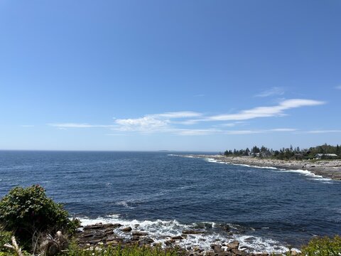 coast of the sea with trees maine