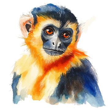 Monkey, illustration watercolor artwork with subtle gradients and elegant contours, isolated on a white background.
