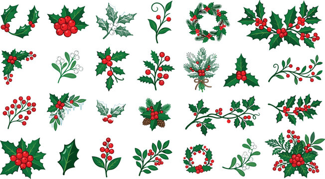 Christmas Holly Berry Vector Element Set Featuring Winter Wreaths Garlands Branches and Mistletoe Greenery for Holiday Cards Festive Packaging and Botanical Borders