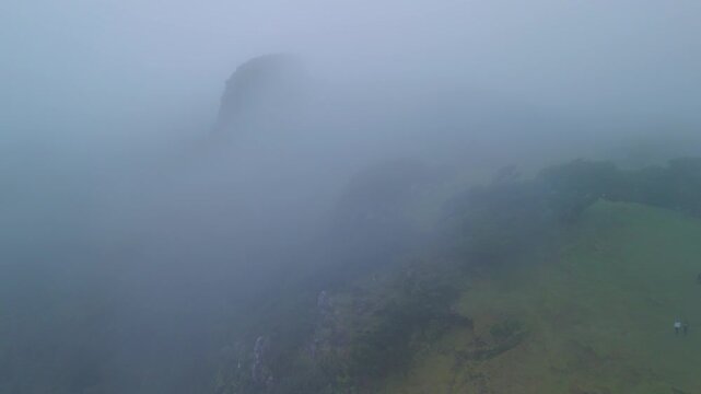 Madeira, Seixal, Fanal Forest