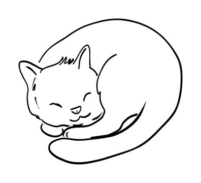 Sweet sleeping kitten outline vector illustration in minimal hand drawn style. Ideal for stickers, coloring pages, children designs and cozy pet themes
