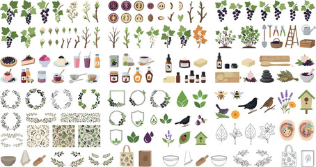 Currant and berry megaset vector illustration bundle featuring botanical branches farm harvest tools desserts jam jars wreaths labels and lineart icons © MdMonirul