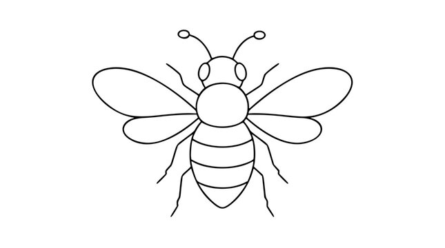 A clean black and white line art vector icon depicting a honeybee in flight with delicate wing patterns, ideal for organic product labels, conservation campaigns, or beekeeping business identities.