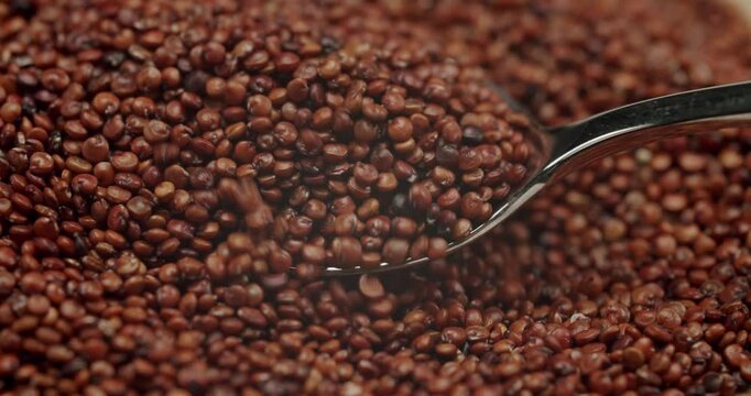 Slow motion closeup of raw red quinoa seeds falling into a full wooden bowl, highlighting the texture and details of the healthy, gluten-free superfood grains on a bright, clean surface