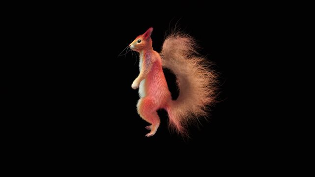 Realistic dancing squirrel performing rumba dance animation with alpha channel transparent background