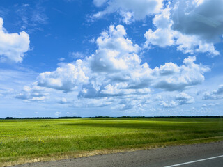 Obraz premium A horizontal wide-angle shot captures an expansive vibrant green field stretching to the horizon under a beautiful bright blue sky filled with fluffy white cumulus clouds, viewed from a roadside