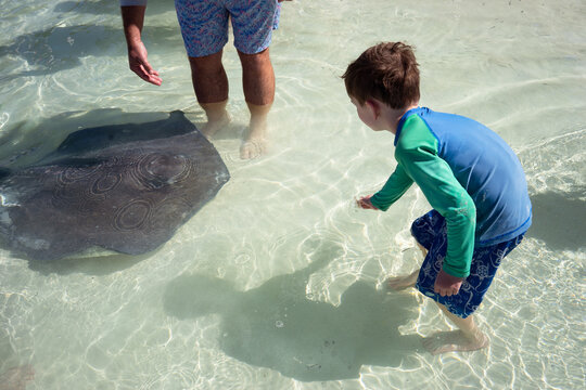 Child on Bahamas vacation has encounter with wild sting ray