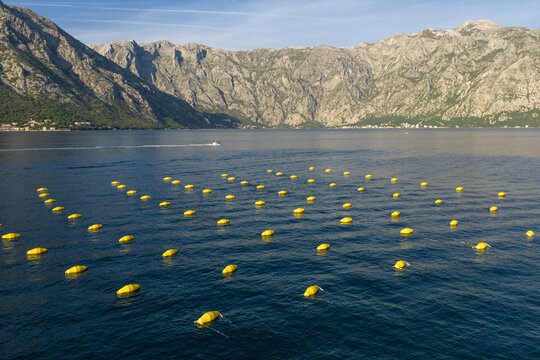 aquaculture mussel and oyster farm in a mountain bay