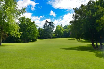 Beautiful Green Lawn in Public Park with Big Trees Under Blue Sky on Sunny Summer Day © Serghei V