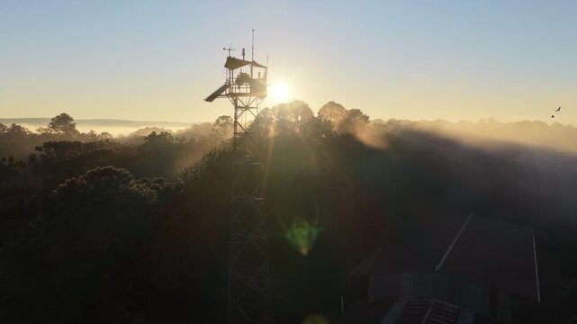 Aerial view of a wooden forestry watchtower rising above dense fog-covered forest at dawn.