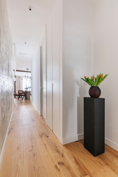 Hallway with Tulip Plinth