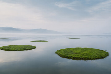 Fototapeta premium scene of the floating Phumdi islands of Loktak Lake, India, calm water with a few circular green floating islands, misty horizon