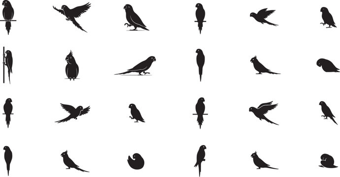 Set of vector black cheeky parakeet silhouette icon. Isolated black animal shape design element. square type Bundle