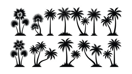 Black silhouettes of various palm trees on white background © Fabuji