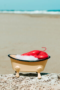 a red lobster rests in a bathtub on driftwood by the beach